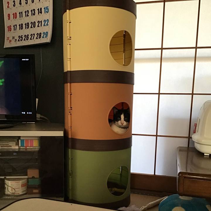 Eca5fdc1 c399 43c2 9f29 02dffb560983 1641683927390