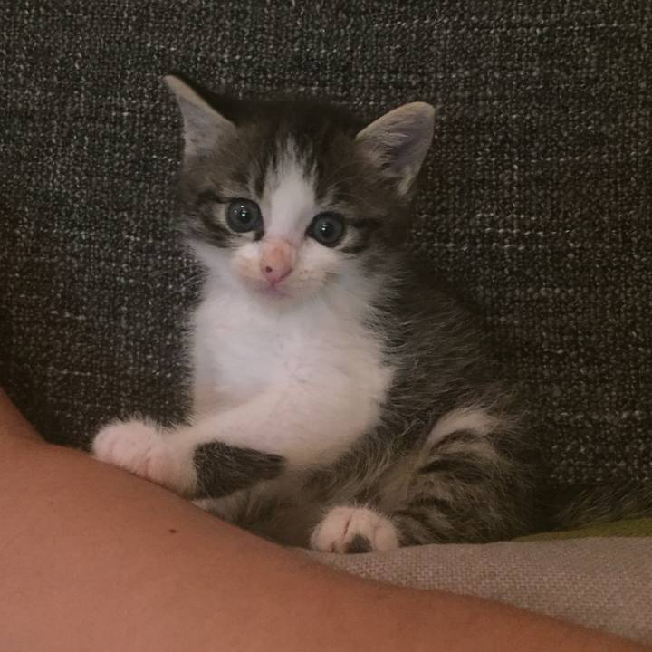 Eca5fe49 c0c3 4b63 86bc 9d16dbf31ff6 1751360825534