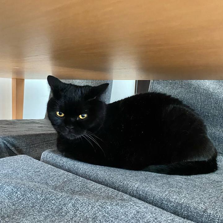 Eca5ff8f ce87 41be a690 b2bcce28177b 1728273832639