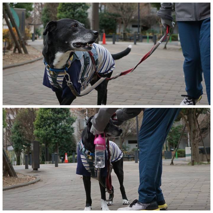 Eca60968 4cc7 44d3 9a51 d804ebca6baf 1768092441924