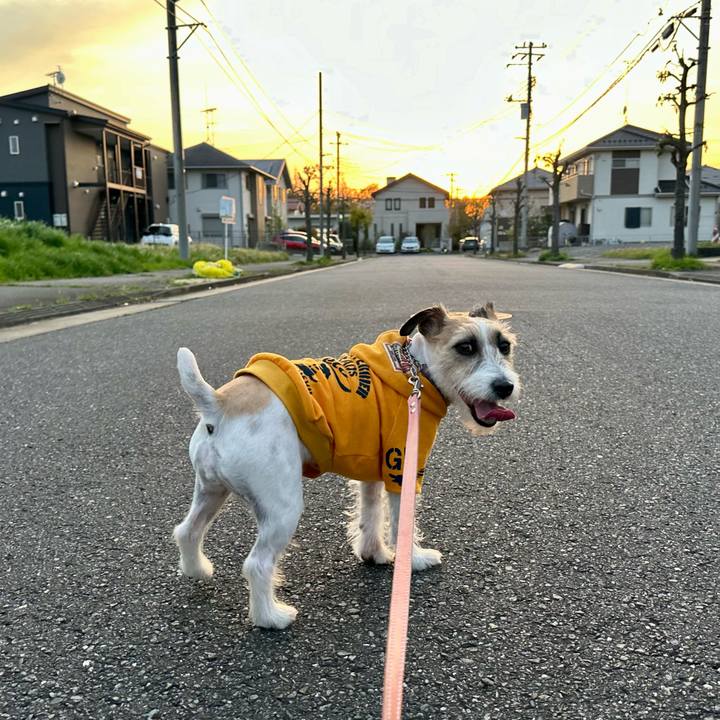 Eca610ac 081e 479f 9e99 e5d87755f185 1713024144916