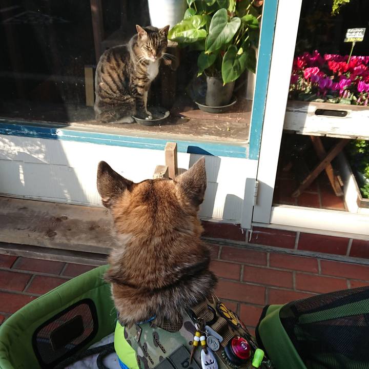 Eca67abb fb4c 4bdf a810 99fd59d5f989 1576315369412