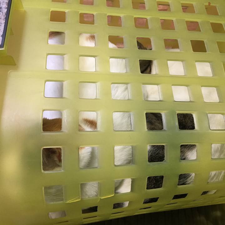 Eca6efca 2455 4f56 bf98 e1d8cad1024b 1549192848978