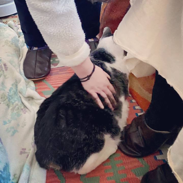 Eca6ff80 3336 4919 9b65 193de2b3c224 1581254115210