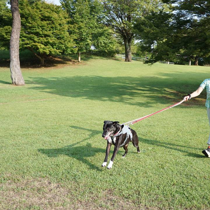 Eca71b75 139d 4191 a296 fae3574f9871 1757461552227