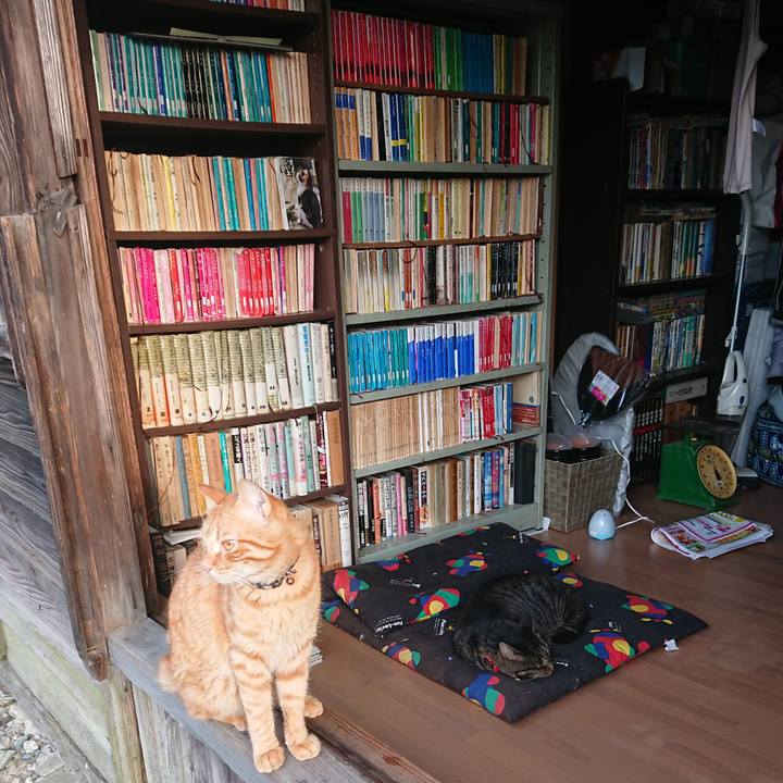 Eca71fe8 0139 4156 ad5e 848714d633a1 1663279172529