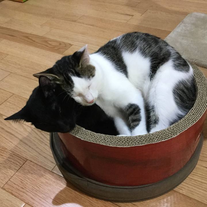 Eca73846 4b50 43ea 8bec 2c0a040268ab 1591057148282