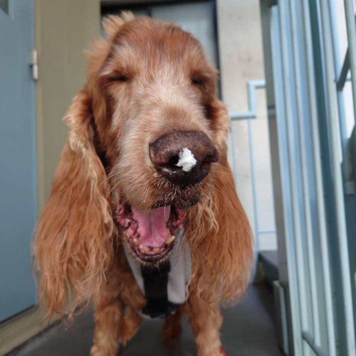 Eca7557d b94f 4f6e a30e ebc9eb83ab85 1717471678987