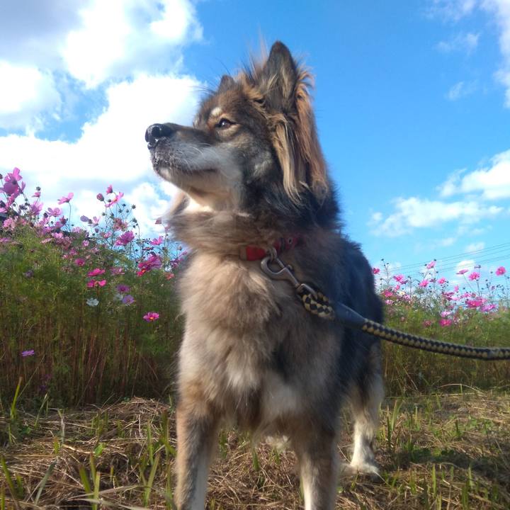 Eca78408 6e37 4867 9f3f f0a664424653 1635402550853