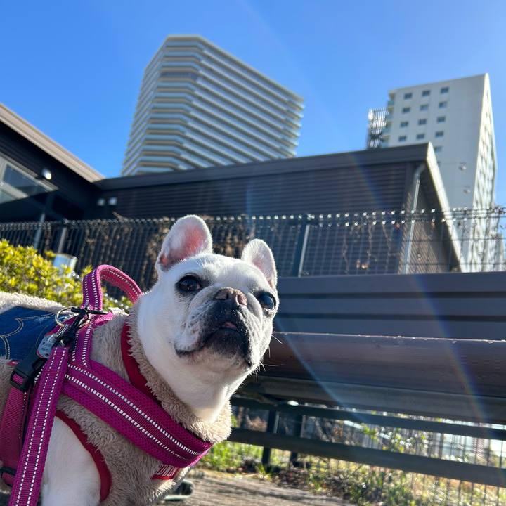 Eca78e71 be42 478a 947e 7543cc826bcd 1708920018475