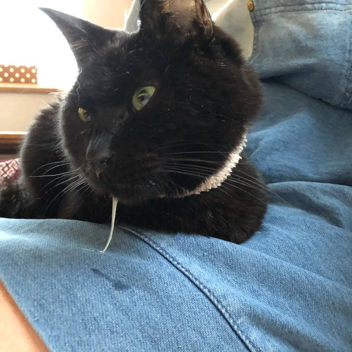 Eca79930 4f68 484f 92fc 3dfdac7ccef8 1554669568792