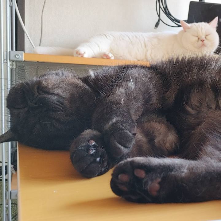 Eca7c252 475a 4447 a527 3feedfc2a713 1627169837551