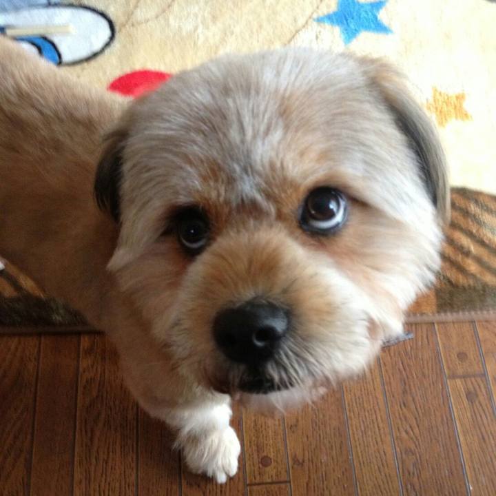 Eca7d57a a479 4e81 9496 f380b164a095 1518354058351