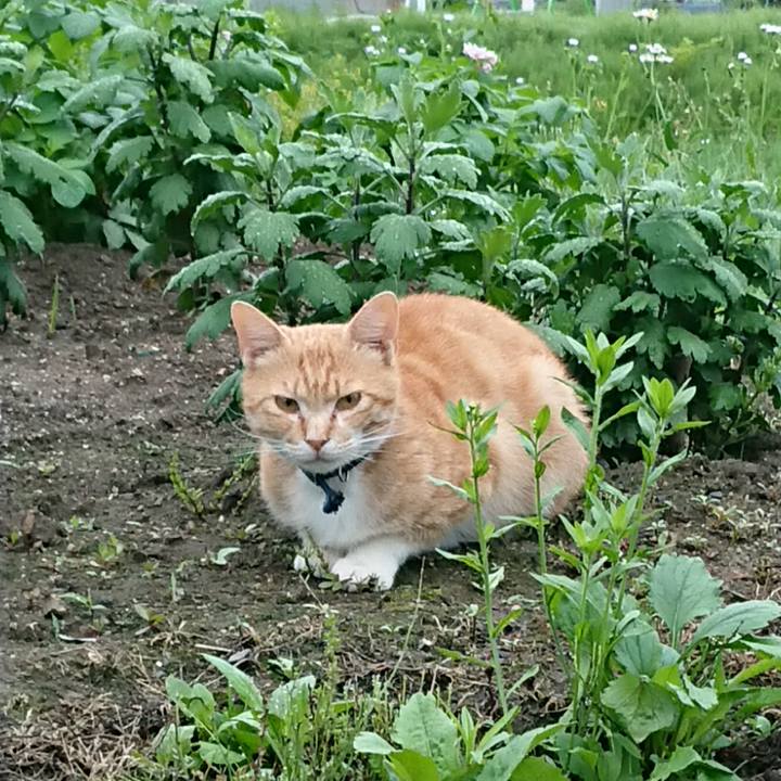 Eca7f84a 6d51 4092 94ae c02851553565 1560978548192