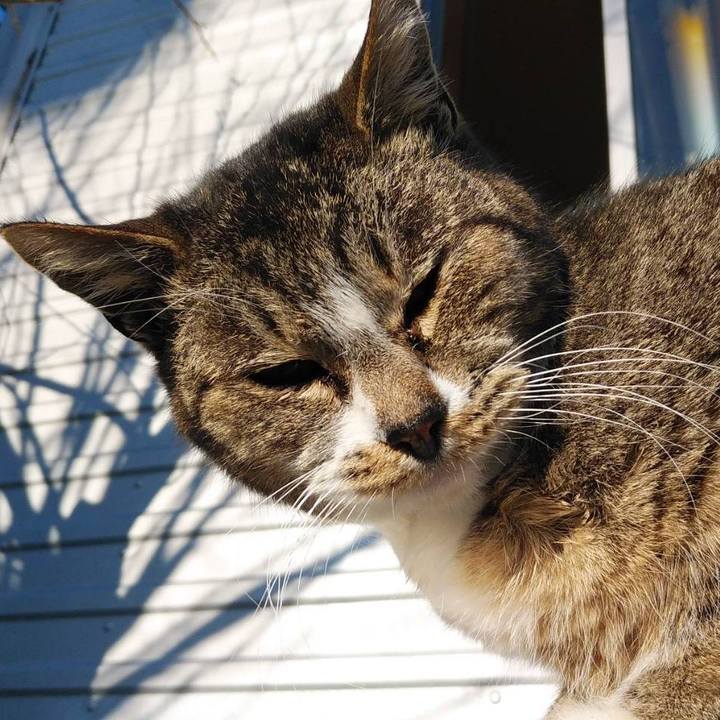 Eca83f2c 9e4f 46c9 a45b b381f4def3f0 1581379082397