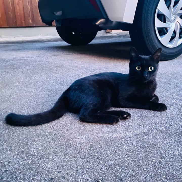 Eca848d6 fe8f 43ef aa11 eb0d5bbe9ec8 1727518696819