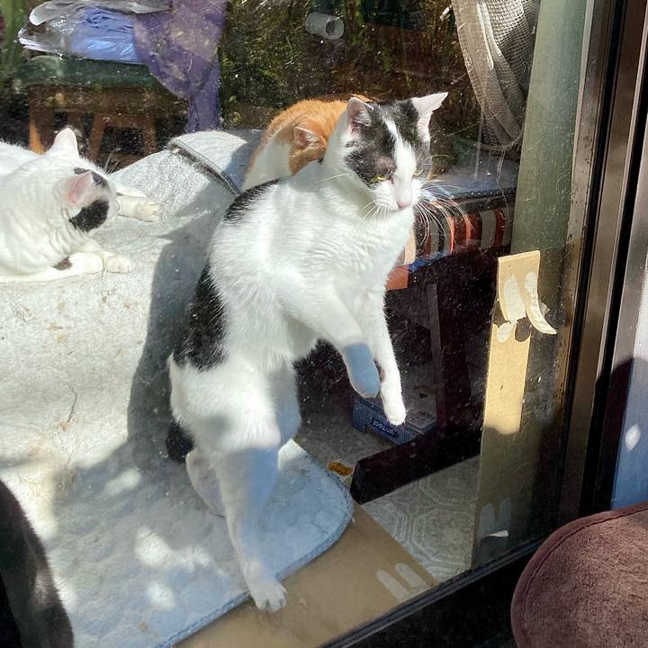 Eca85158 1277 4f61 bc94 5aa889070bf8 1667022319569