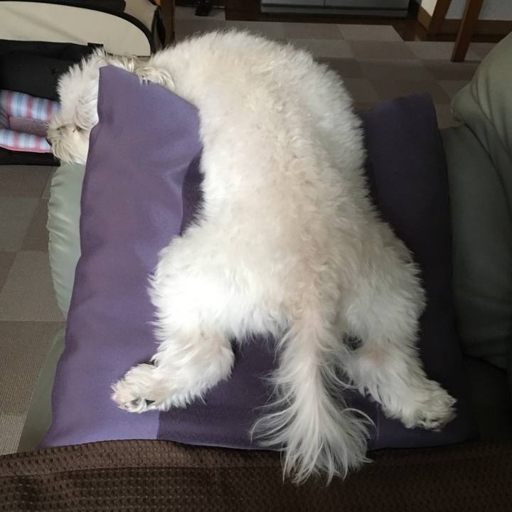 Eca86322 107b 4e8c be39 276d4e7b7b02 1568255419350