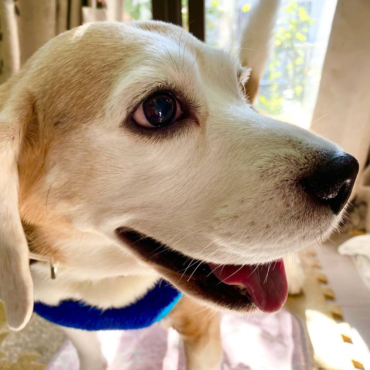 Eca87285 9fd0 4ab2 aa44 57aaee42312a 1606103936233