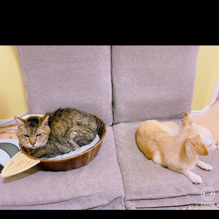 Eca88175 e99b 4b87 a605 478bee8ea48a 1697718693471