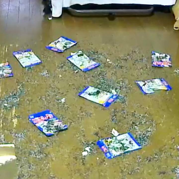 Eca8d834 f50d 4616 a61d fa29c2005636 1534820611608