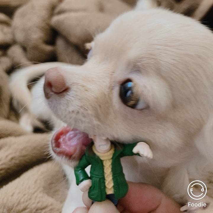 Eca8e352 515f 40d3 9e33 1bee7a5bd1fc 1593668283216