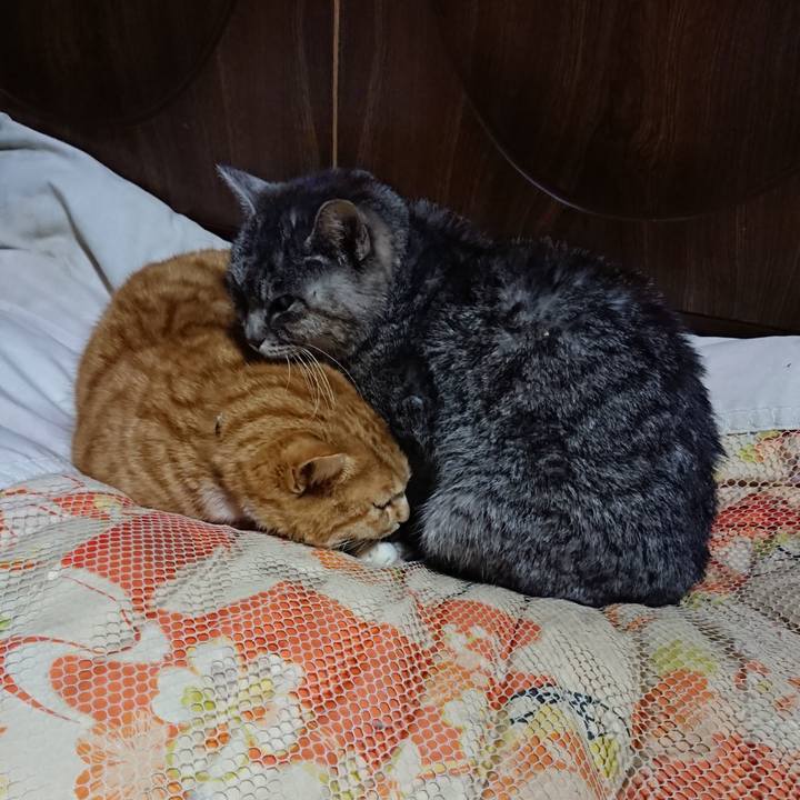 Eca90689 4375 478e aa85 f3d79f384fcb 1580643671167