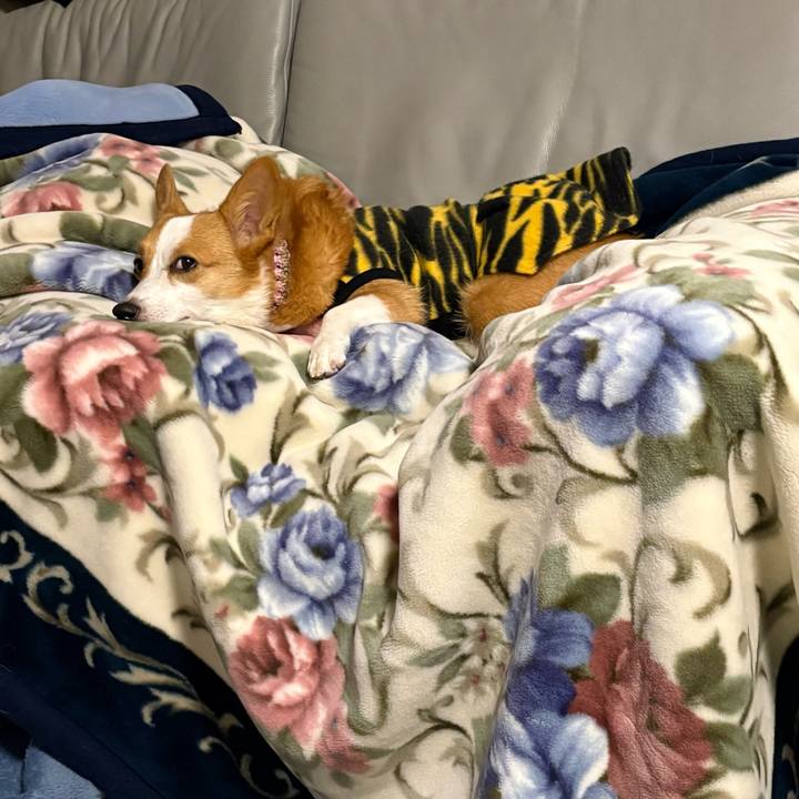 Eca9bd91 ccf8 435b b340 24c520f7484f 1770281001295