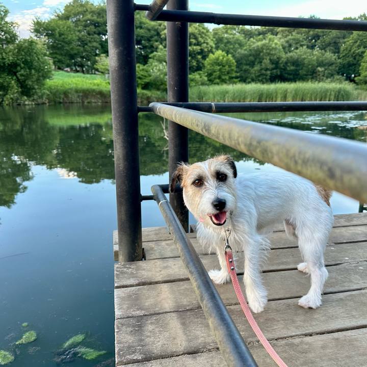 Eca9c224 fe1d 4489 8489 6115b4081cce 1688745850972