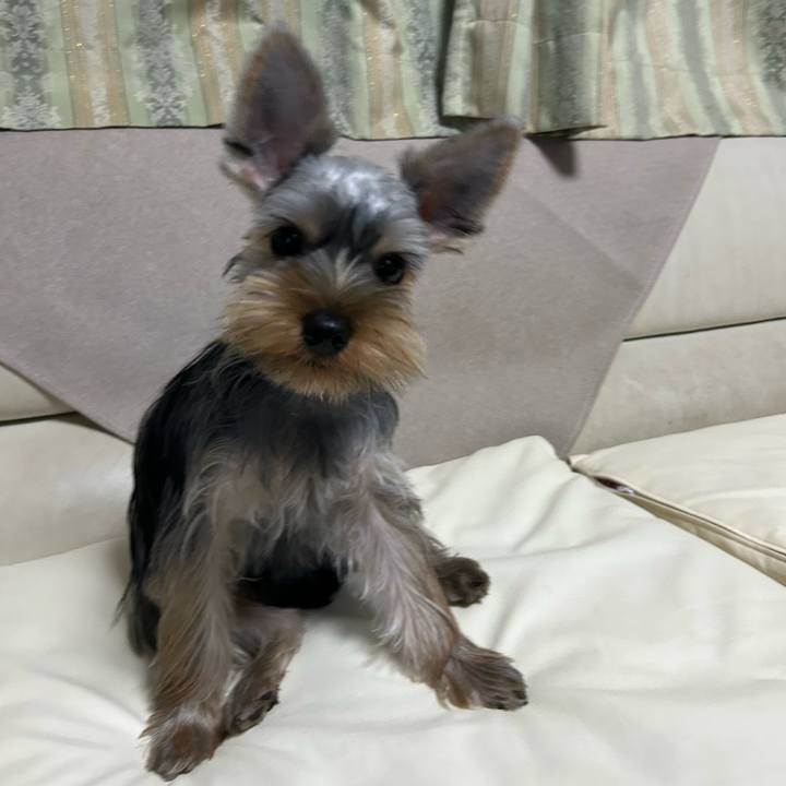 Eca9debf 4c12 4dca a98e cf70a152dcb0 1727356441464