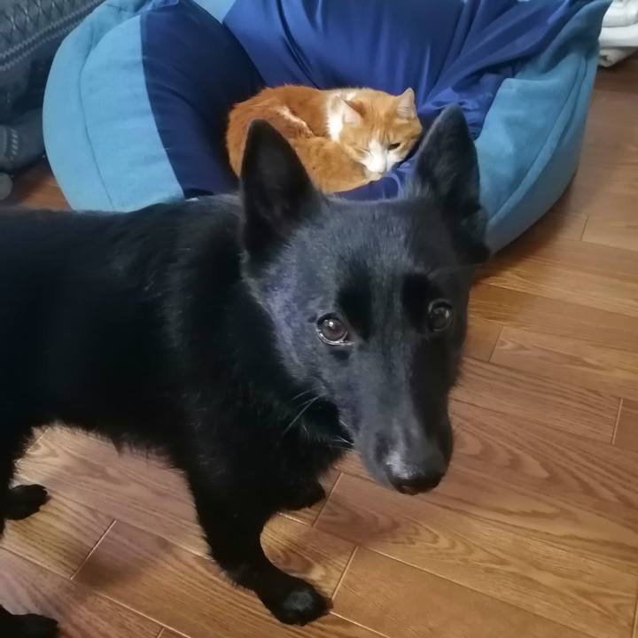 Eca9e7f8 c0ce 42e0 b7b5 aa0f807ee540 1615001639231