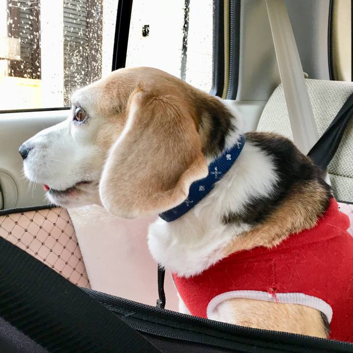 Eca9e831 cf2b 4aa5 956e 496a4bfb3fac 1554688445448