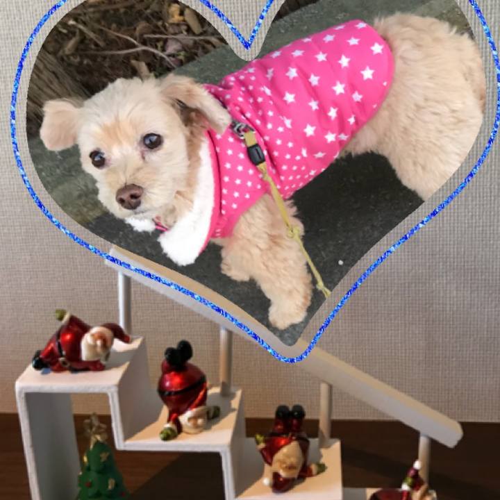 Ecaa0671 f06e 4417 a650 171ce0316753 1514173283341