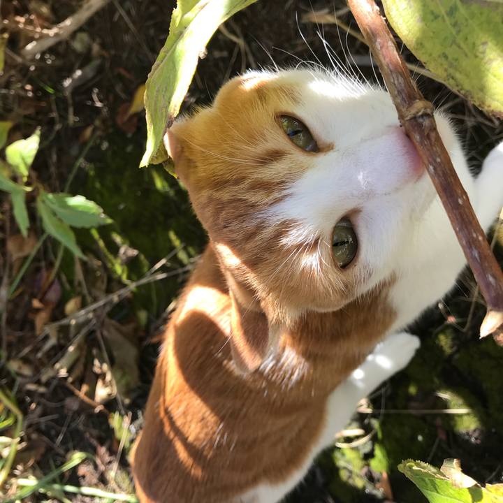 Ecaa15db ff36 421a 858f 4d0960811c5e 1511235286491