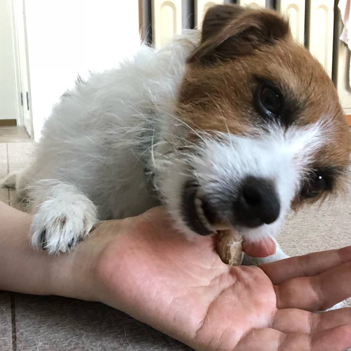 Ecaa3015 33b6 4c2a b4b3 760d5feadf05 1530335762630