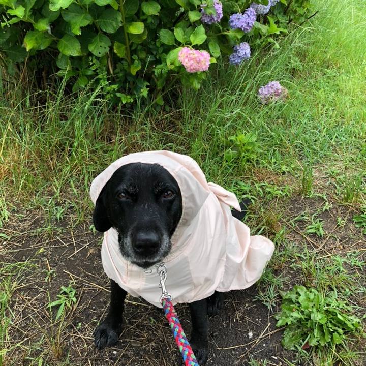 Ecaa4770 b47c 4f6b b6d3 63b22cd8c632 1561427073908