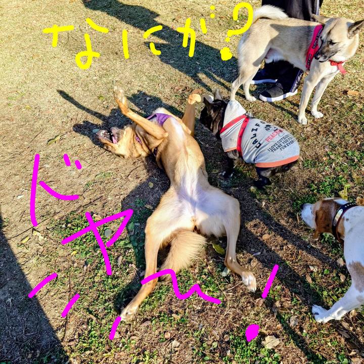 Ecaa7ba1 6ced 4450 8419 3fb7f1b28e11 1763177232705