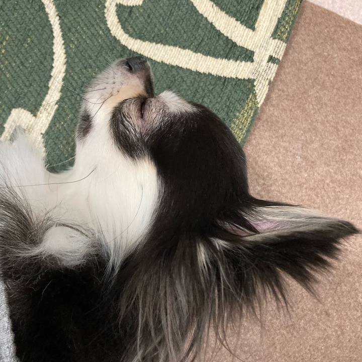 Ecaa7c56 ca35 4882 9623 0b2b70063225 1642253020988