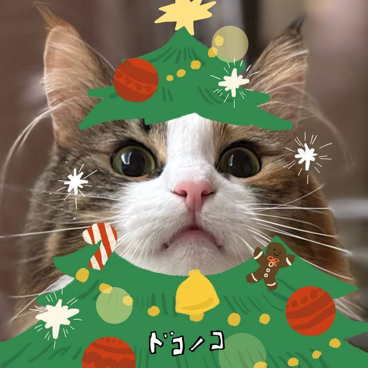 Ecaa9835 d31a 4cfa 9bbd 70c850e05730 1762825823853