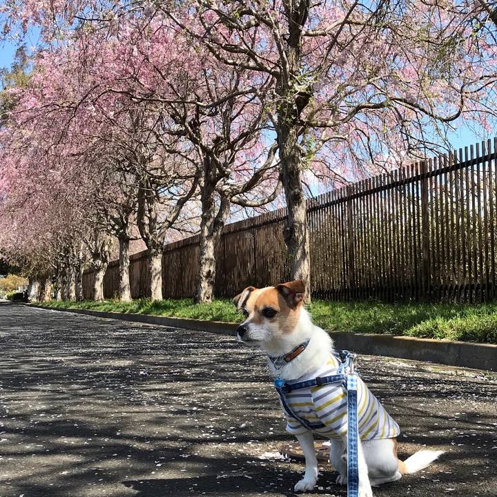 Ecaa9ba3 f9d6 4a74 9b03 7de07eed1eae 1554777002632