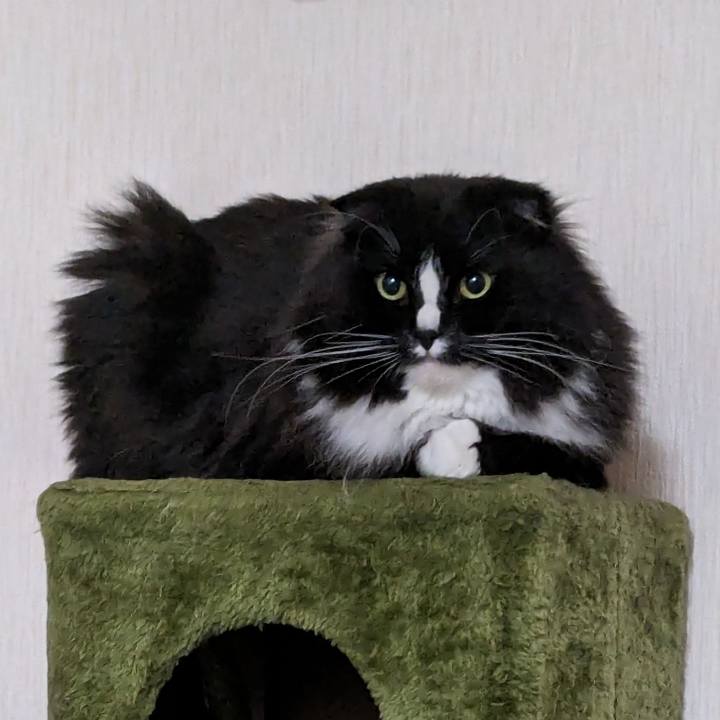 Ecaab9c9 e822 4de0 9dd2 6af76189684e 1715631259319