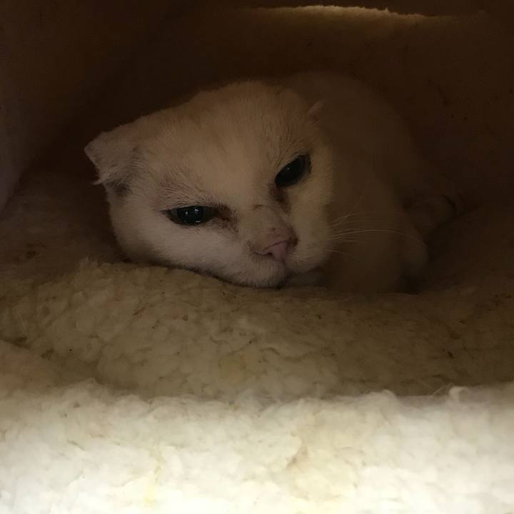 Ecab18c6 ed9f 4c72 96a5 48c35a3fc51a 1521174461414