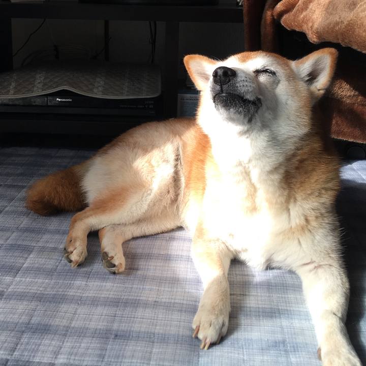 Ecab793a ce71 4cc2 8377 6208e949d5a9 1545353218643