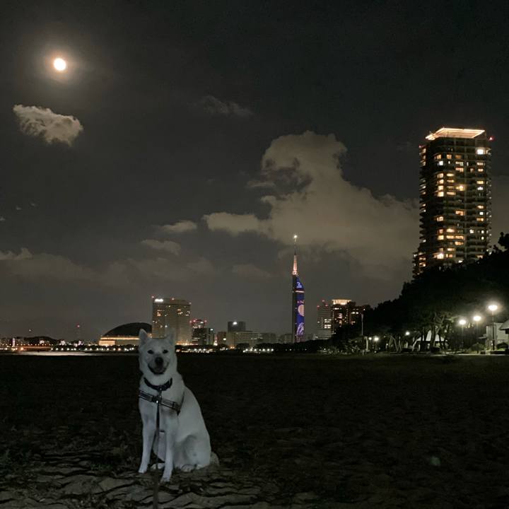 Ecaba477 bcad 4c0d a4f5 9f82cea92f73 1632405774036