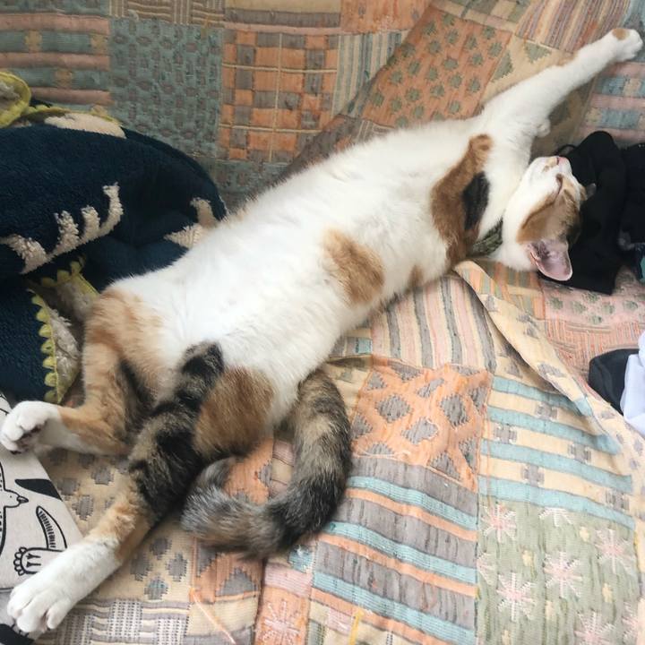 Ecaba8c5 f278 49ad 9efc 48365687a03b 1595898506541