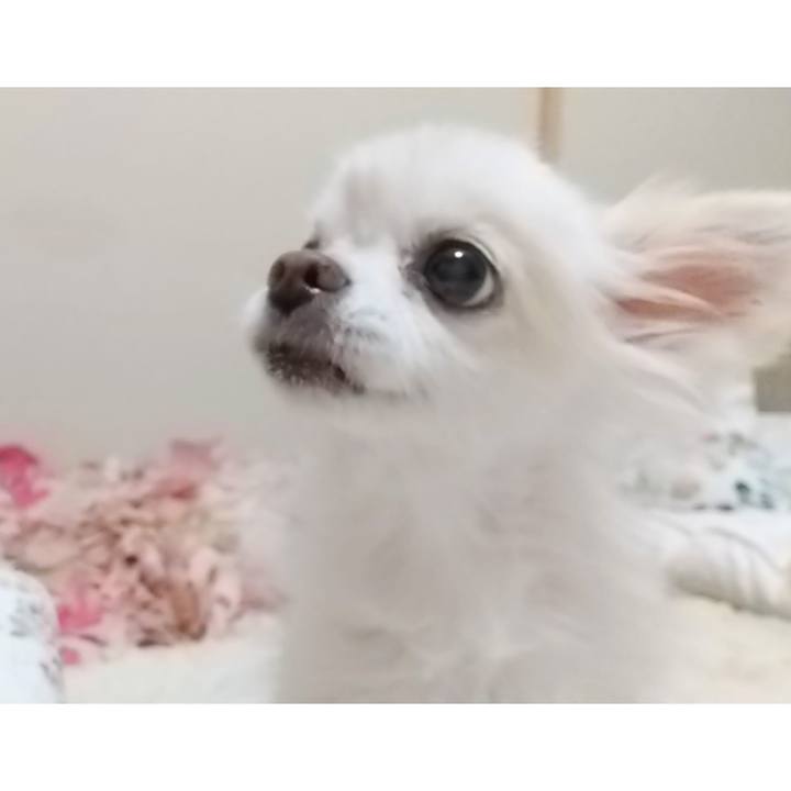 Ecabe6be 5790 4e6d a342 a0b0cfffd452 1632911377499