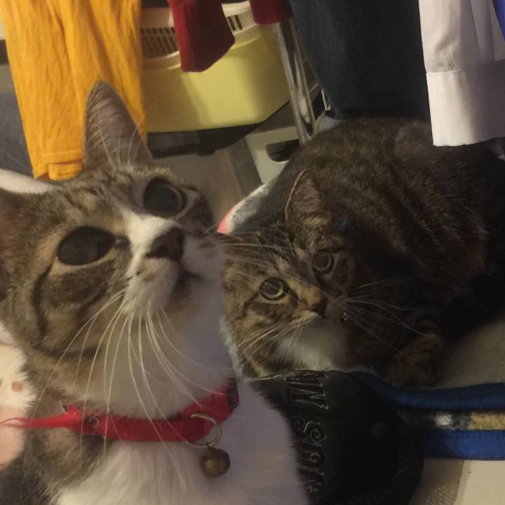 Ecabf9c8 fe1f 4c4c b9fd 71c584149cd7 1570862990355