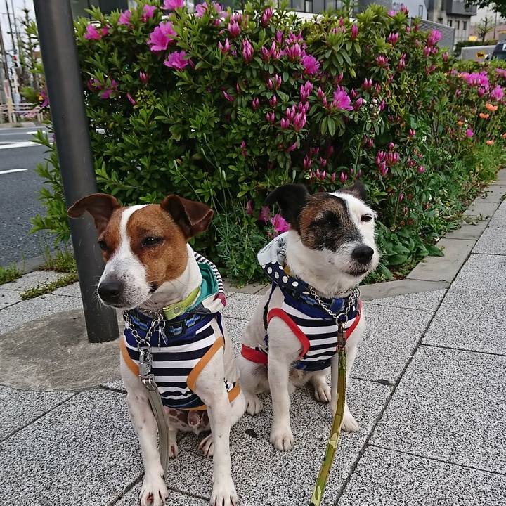 Ecabfbfe 3994 4c63 8d2e 65d913a13883 1555969185263