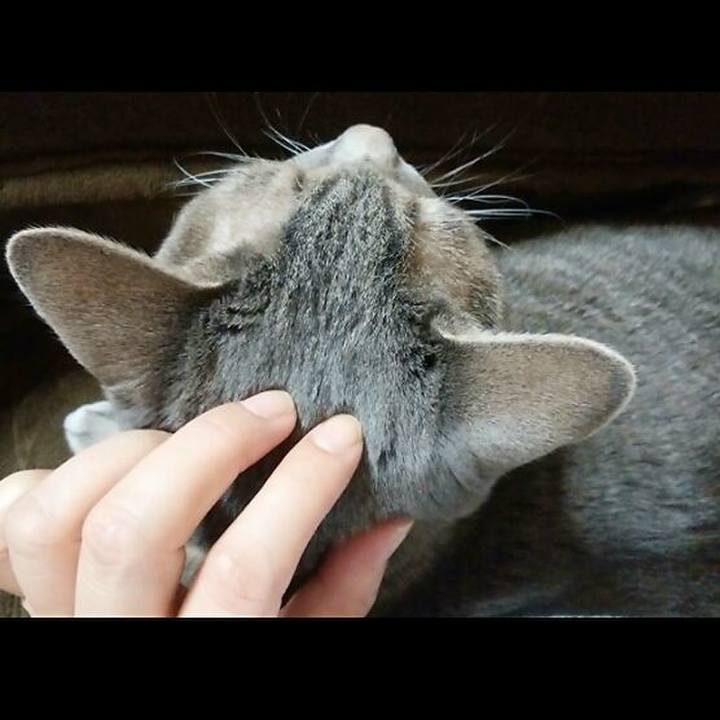 Ecabfef9 cbf0 4d8b aec6 f2fdc614942c 1575673736521