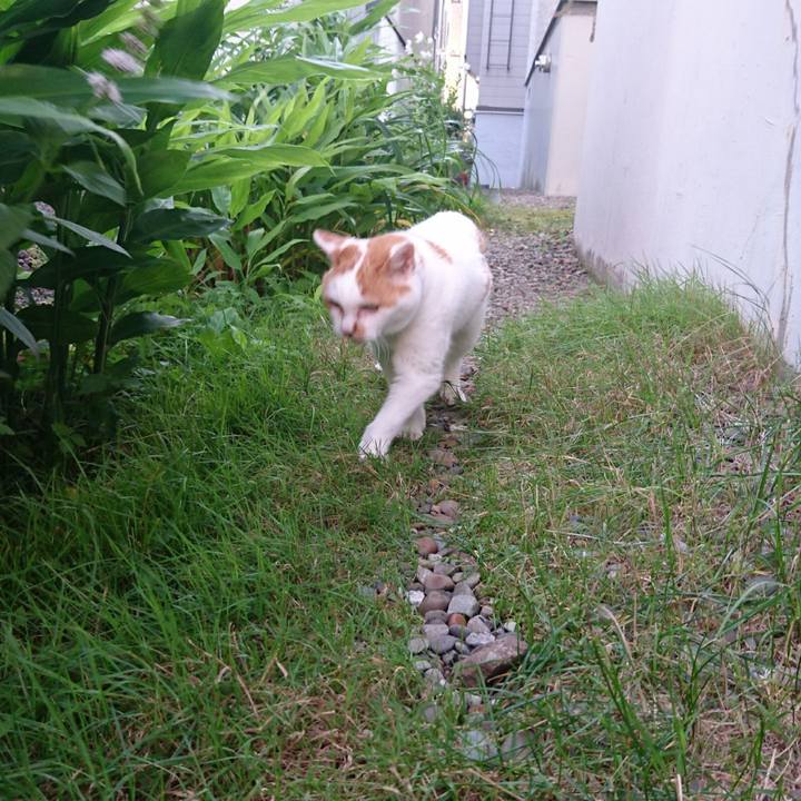 Ecac0254 65f7 458f 9056 191d56c78b70 1629977740316